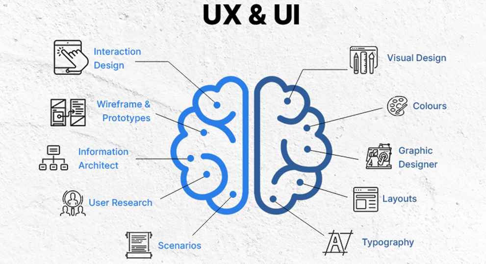 Web Design & Development